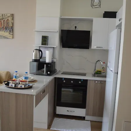 Classic Ms34 Appartement Istanboel