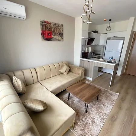 Classic Ms34 Istambul