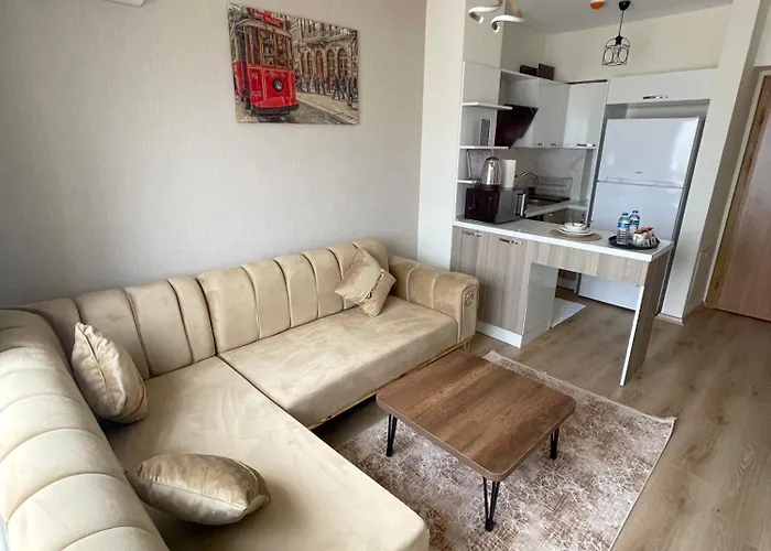 Classic Ms34 イスタンブール