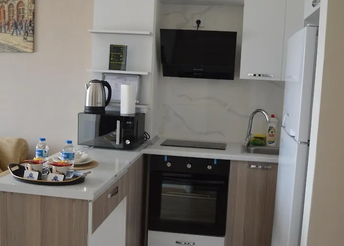 Classic Ms34 Apartment Istanbul